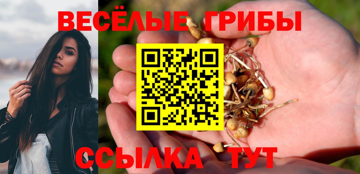 Галлюциногенные грибы Magic Shrooms Коряжма