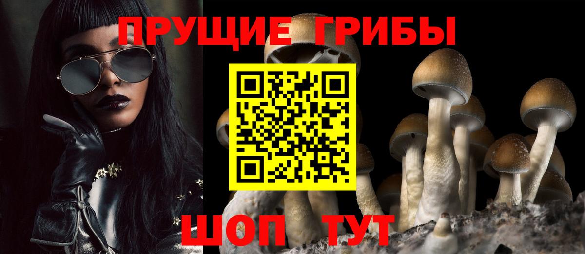 Галлюциногенные грибы GOLDEN TEACHER  Вход с VPN  Галлюциногенные грибы MAGIC MUSHROOMS  Коряжма 